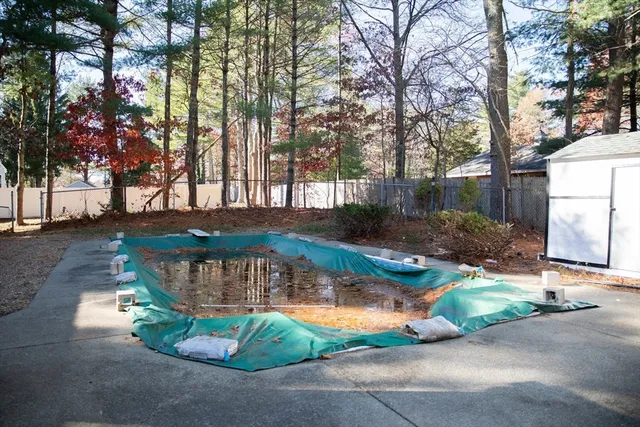 a view of a backyard with large tree