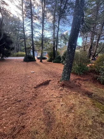 a view of outdoor space with tree s