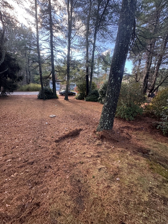 6 Kingsley Road Easton, MA 02356 - Photo 40 of 41 a view of outdoor space with tree s