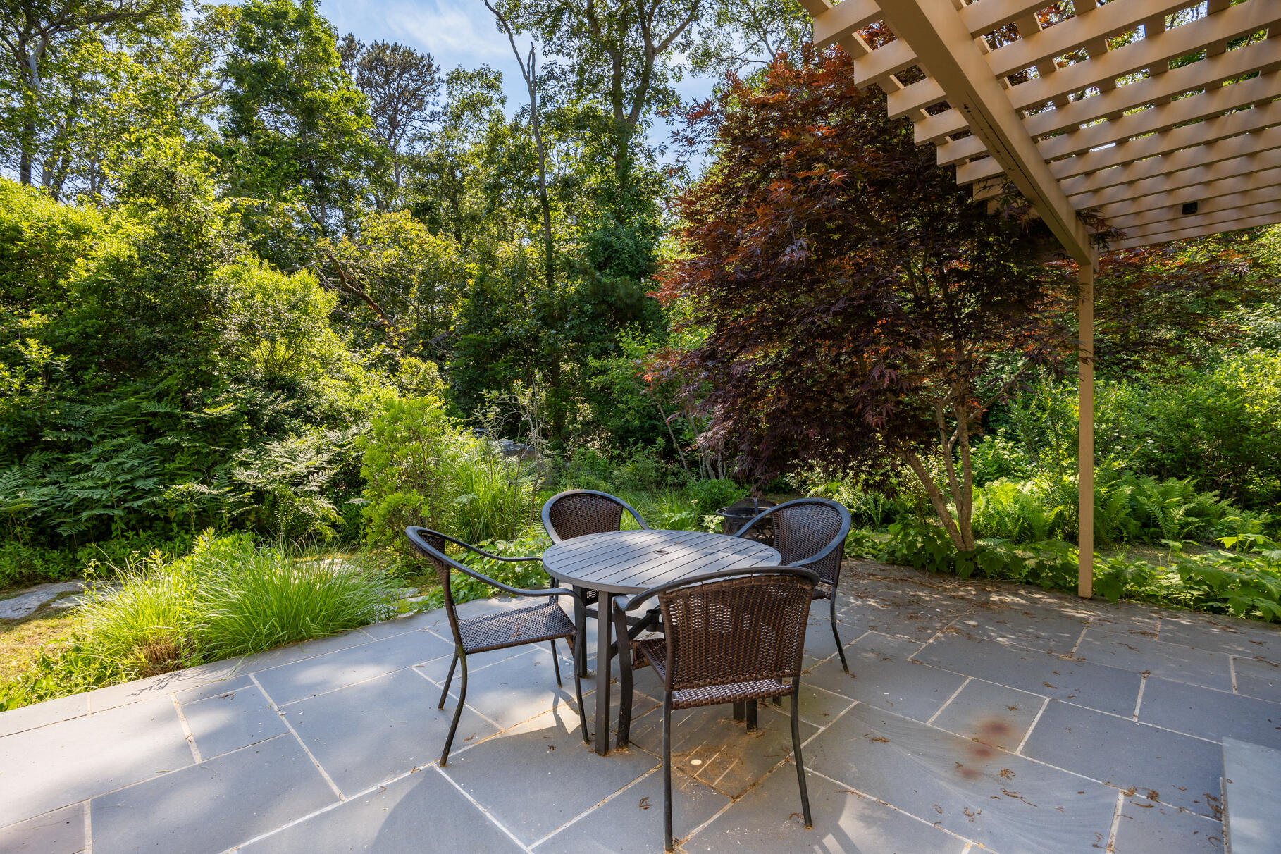 77 Fay Road Falmouth, MA 02543 - Photo 43 of 53 9L4A7861