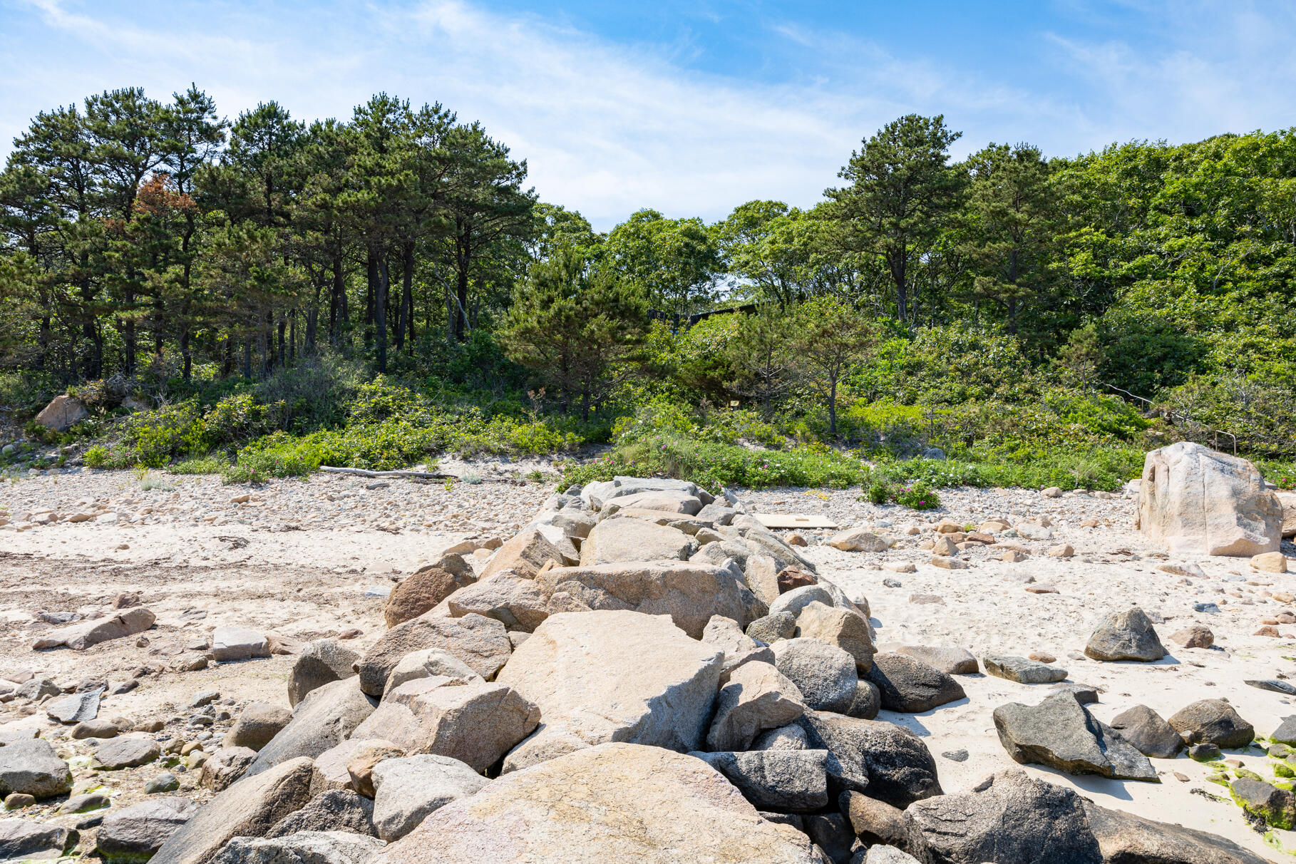 77 Fay Road Falmouth, MA 02543 - Photo 49 of 53 9L4A7849