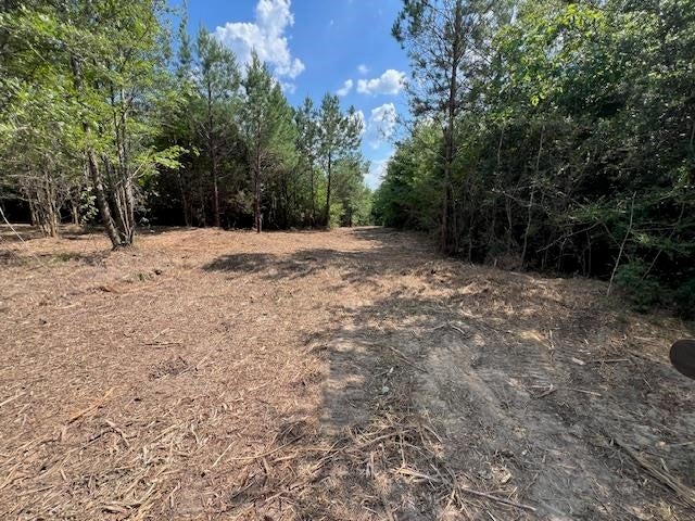 Tba Laird Road Florala, AL 36442 - Photo 8 of 20 Gallery Image 8