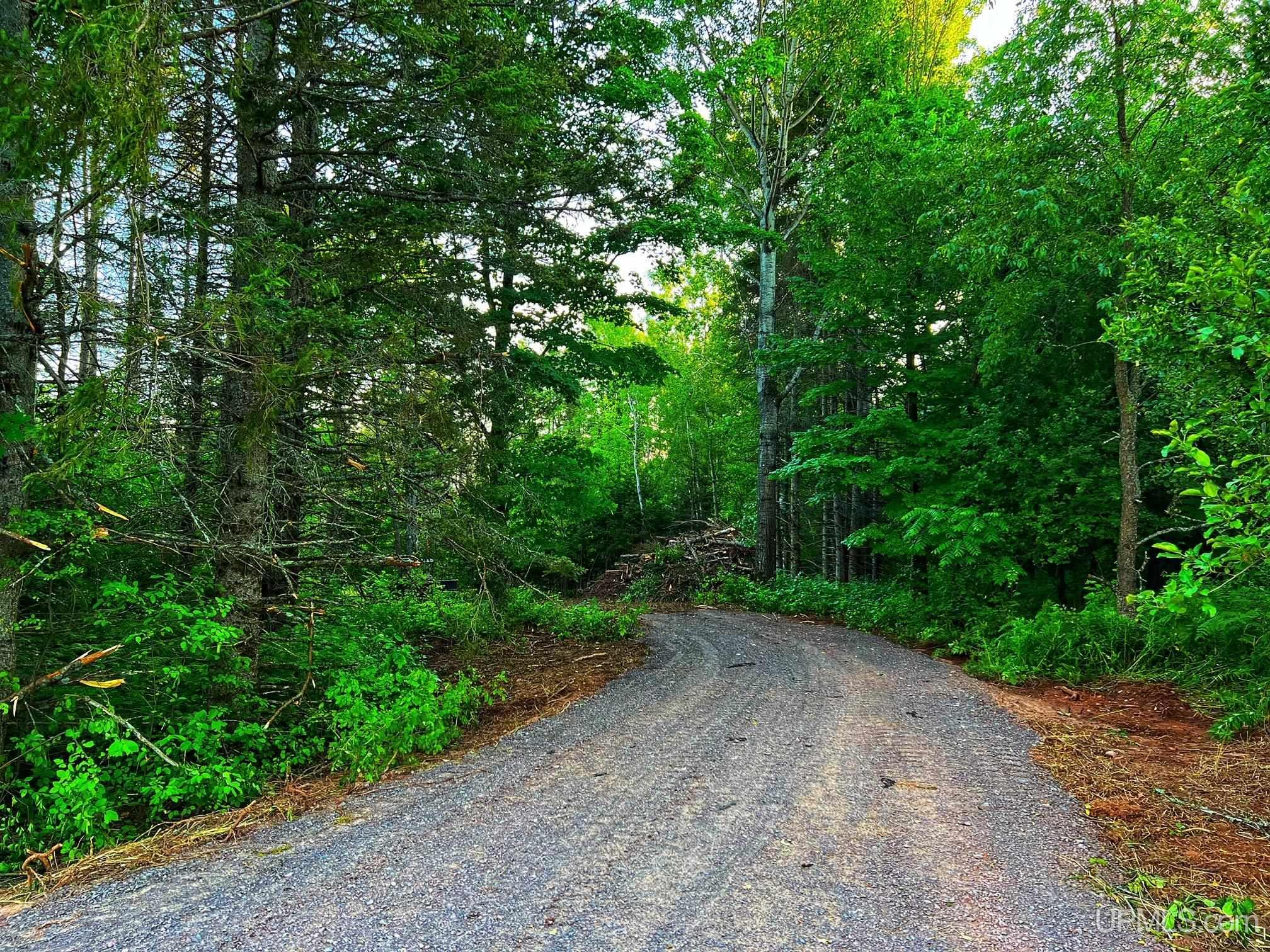16024 Bellaire Road Baraga, MI 49908 - Photo 10 of 17 Gallery Image 10