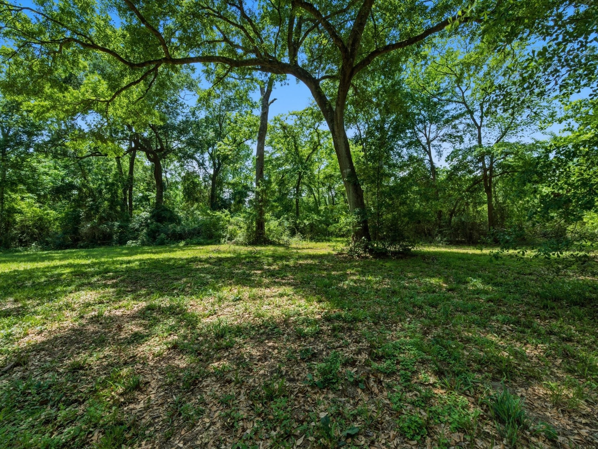 27855 Kresdorn Road Hockley, TX 77447 - Photo 19 of 24 a view of outdoor space with deck and yard