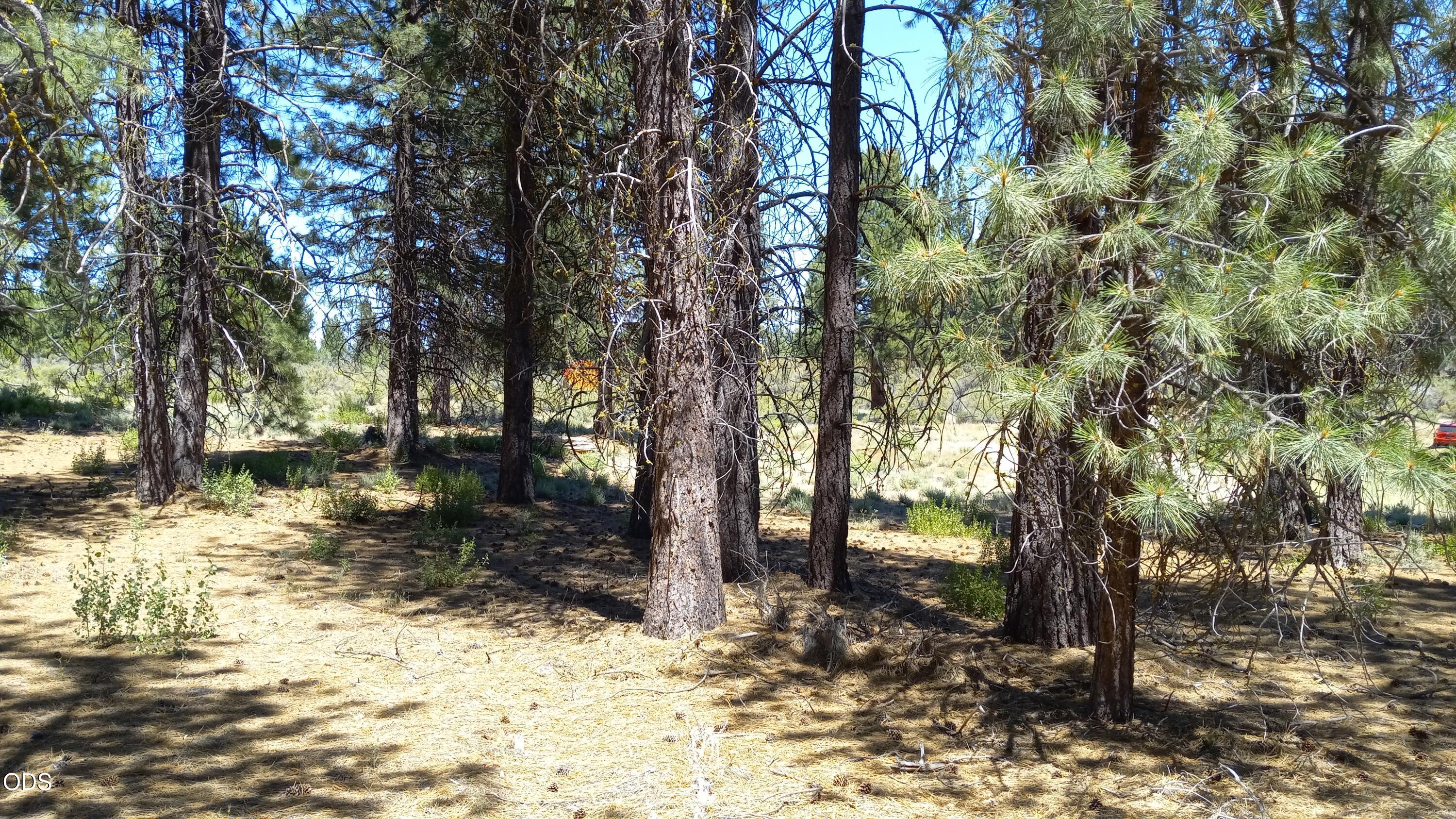 0 Pine Ridge Loop, Unit LOT 11 Chiloquin, OR 97624 - Photo 5 of 9 Gallery Image 5