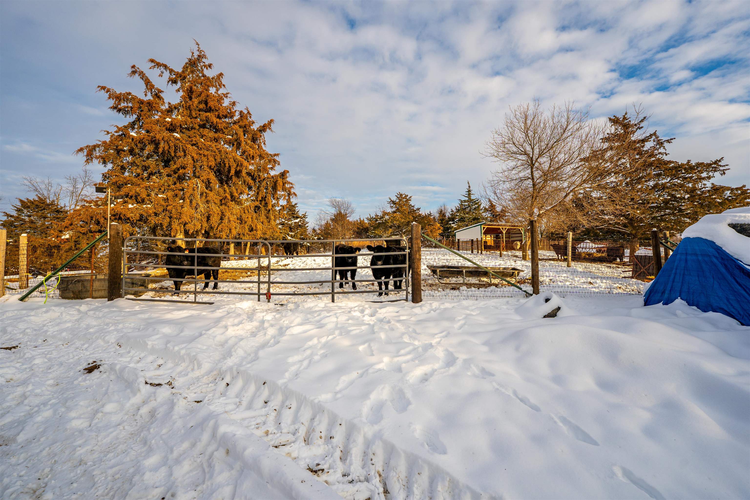 7965 North Adeline Road Leaf River, IL 61047 - Photo 45 of 90 a view of outdoor space with seating
