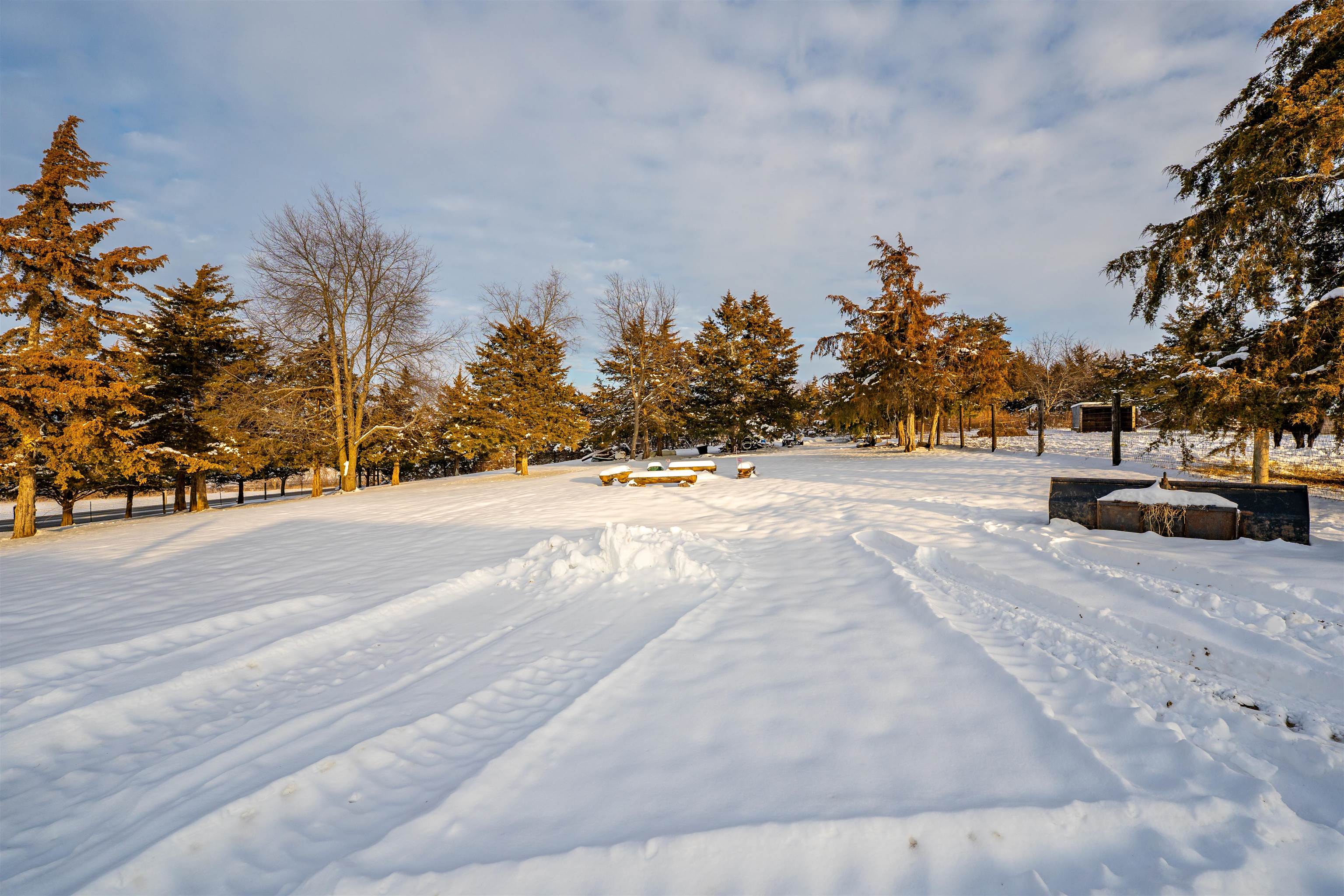 7965 North Adeline Road Leaf River, IL 61047 - Photo 47 of 90 a view of road with large trees
