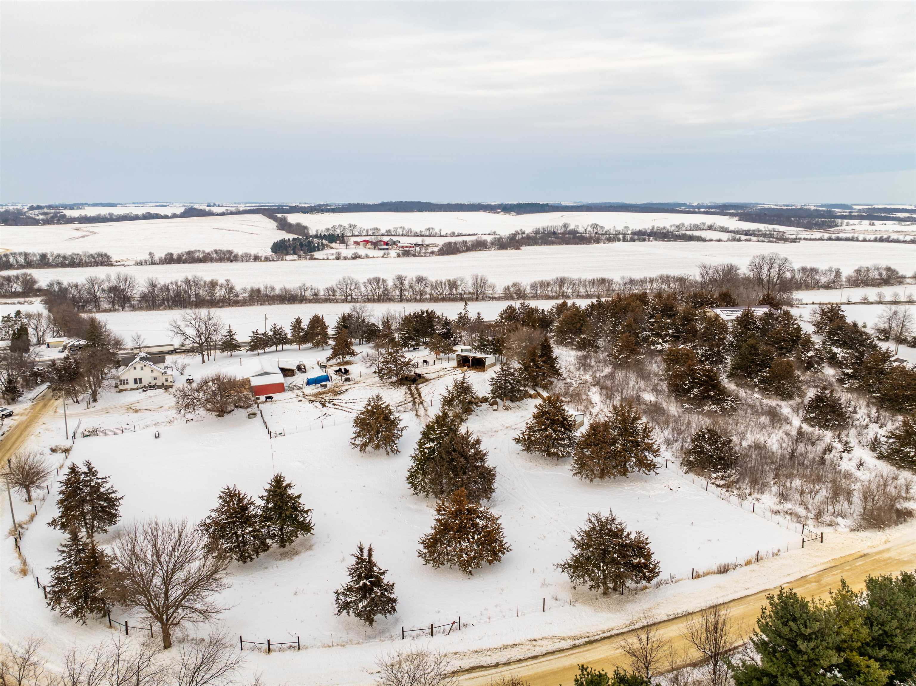 7965 North Adeline Road Leaf River, IL 61047 - Photo 75 of 90