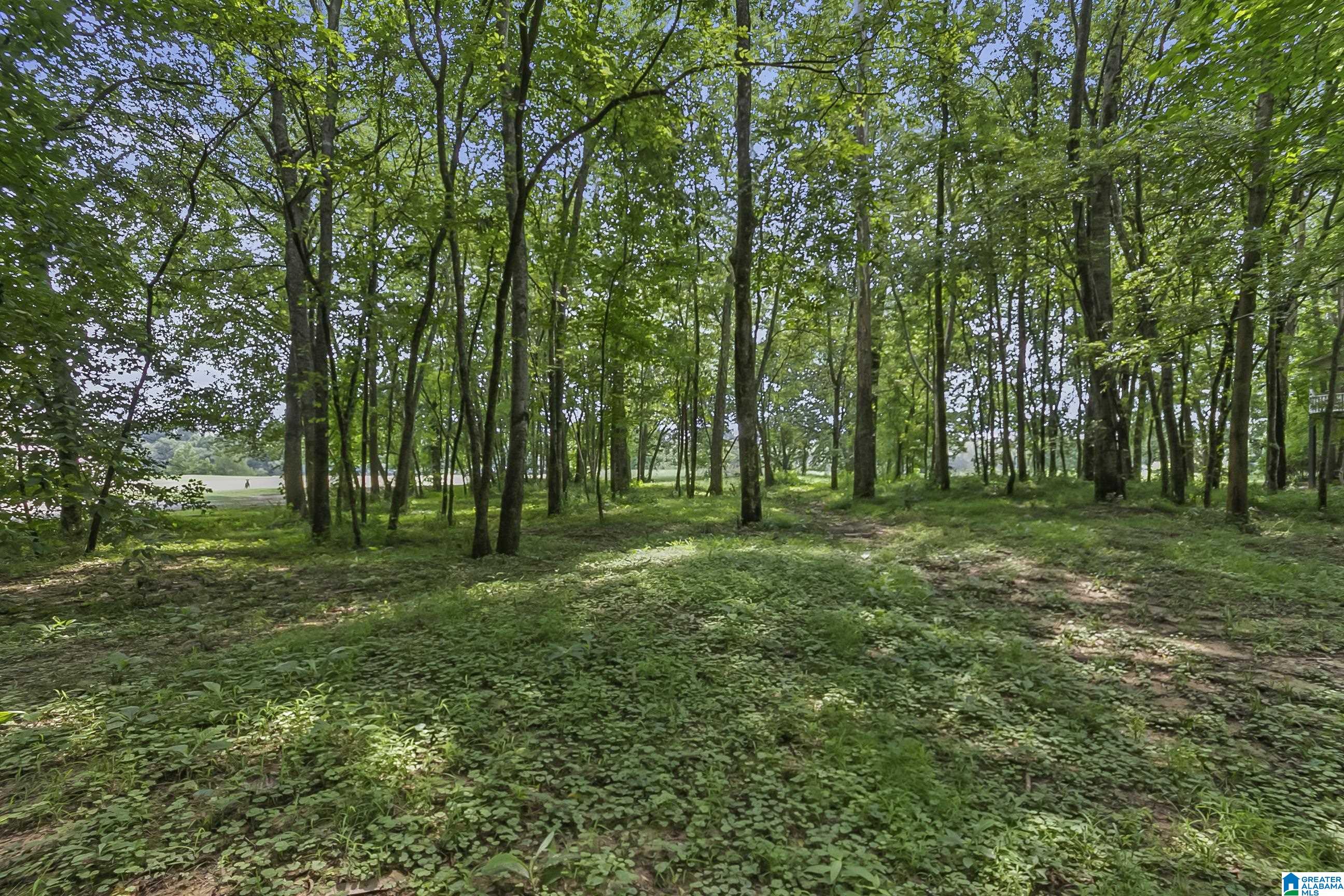13615 Riverbend Road Moundville, AL 35474 - Photo 10 of 33