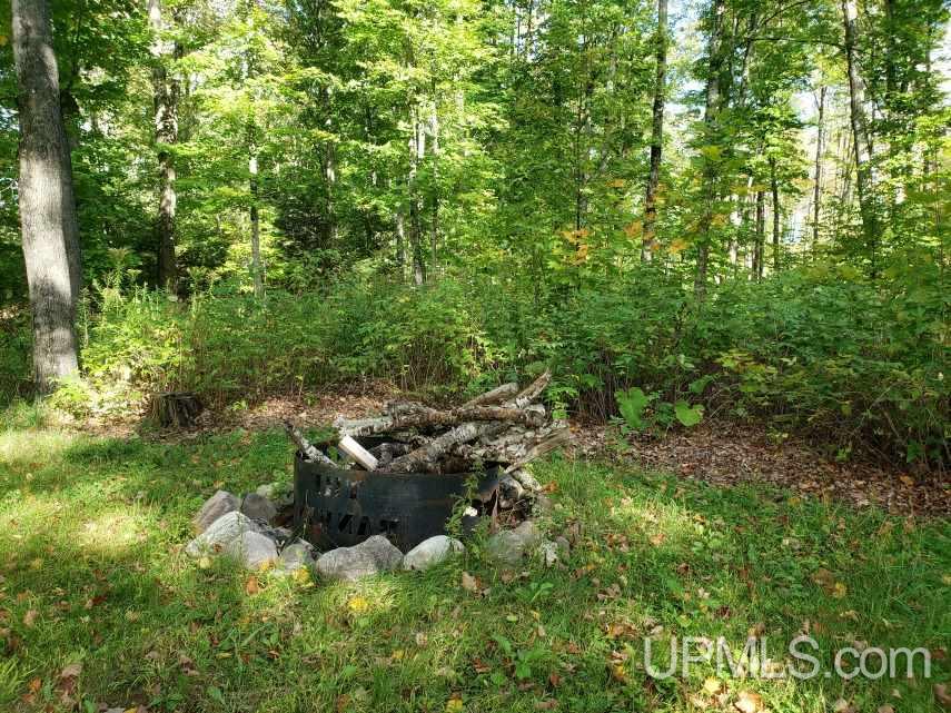 W4315 Dixon Road Felch, MI 49831 - Photo 10 of 11