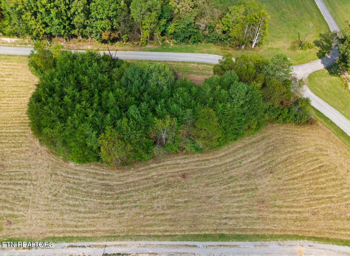 2387 Wade Road West Loudon, TN 37774 - Photo 5 of 8 IMG_2565