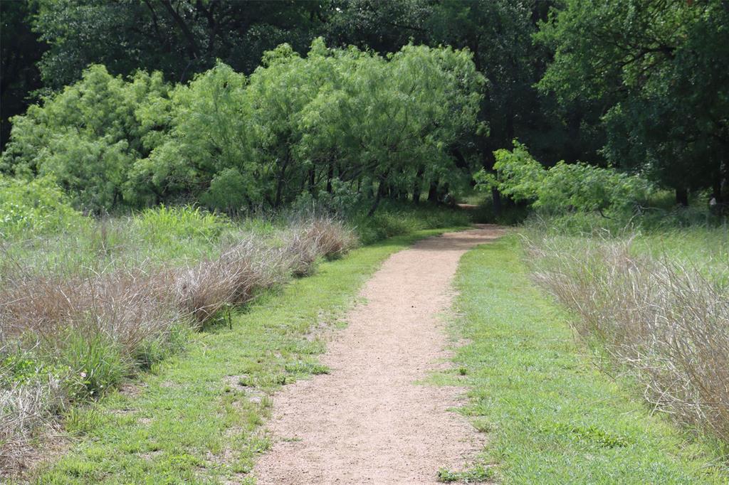 351 Wincliff Drive Buda, TX 78610 - Photo 39 of 40 A tranquil path winds through lush greenery, inviting peaceful outdoor excursions.