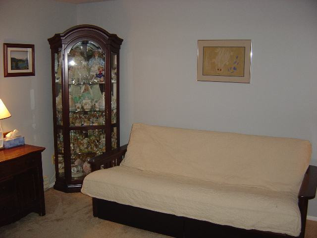 219 Thimbleberry Road Malta, NY 12020 - Photo 8 of 12 Photo 8