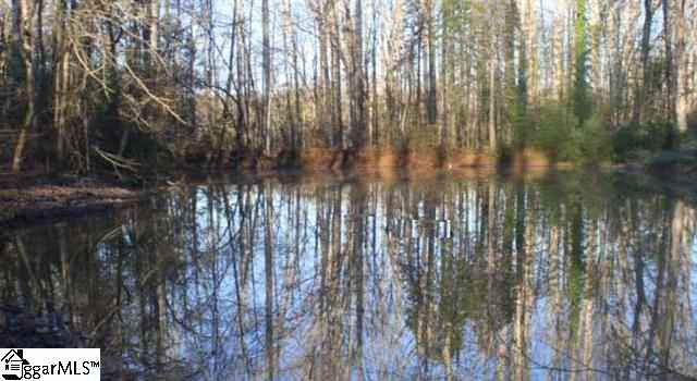 Brushy Creek Road Easley, SC 29642 - Photo 1 of 1 Gallery Image 1