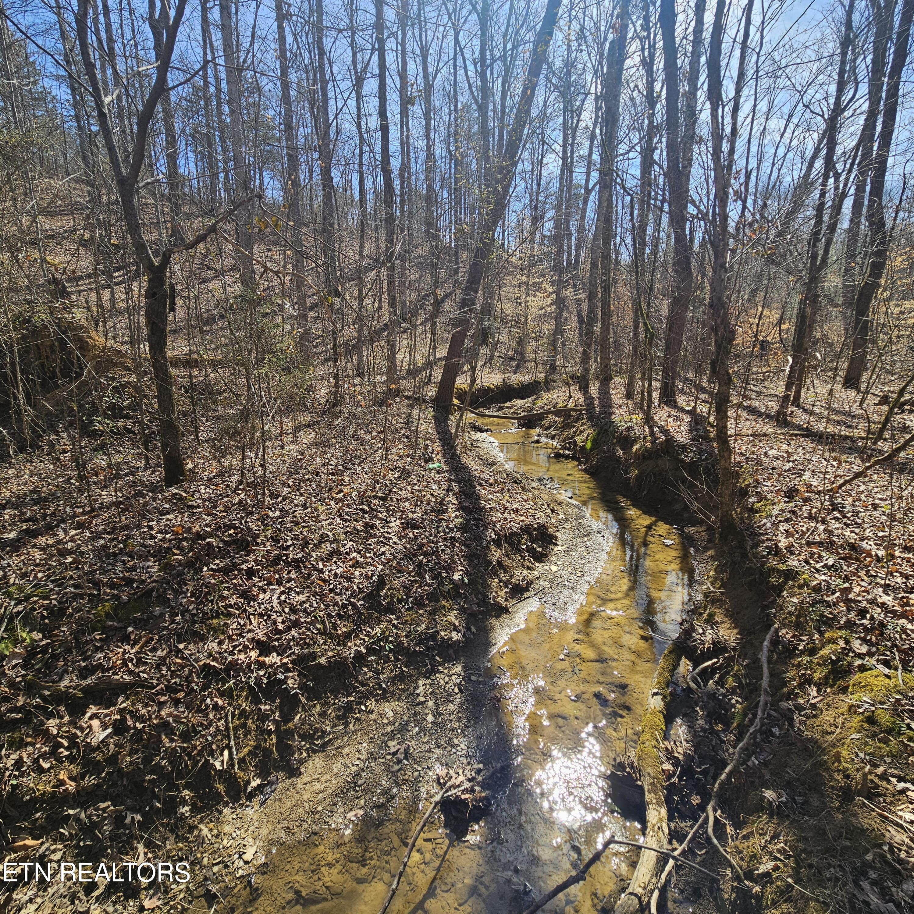 Creek Road Tellico Plains, TN 37385 - Photo 1 of 19 wonderful meandering creek!
