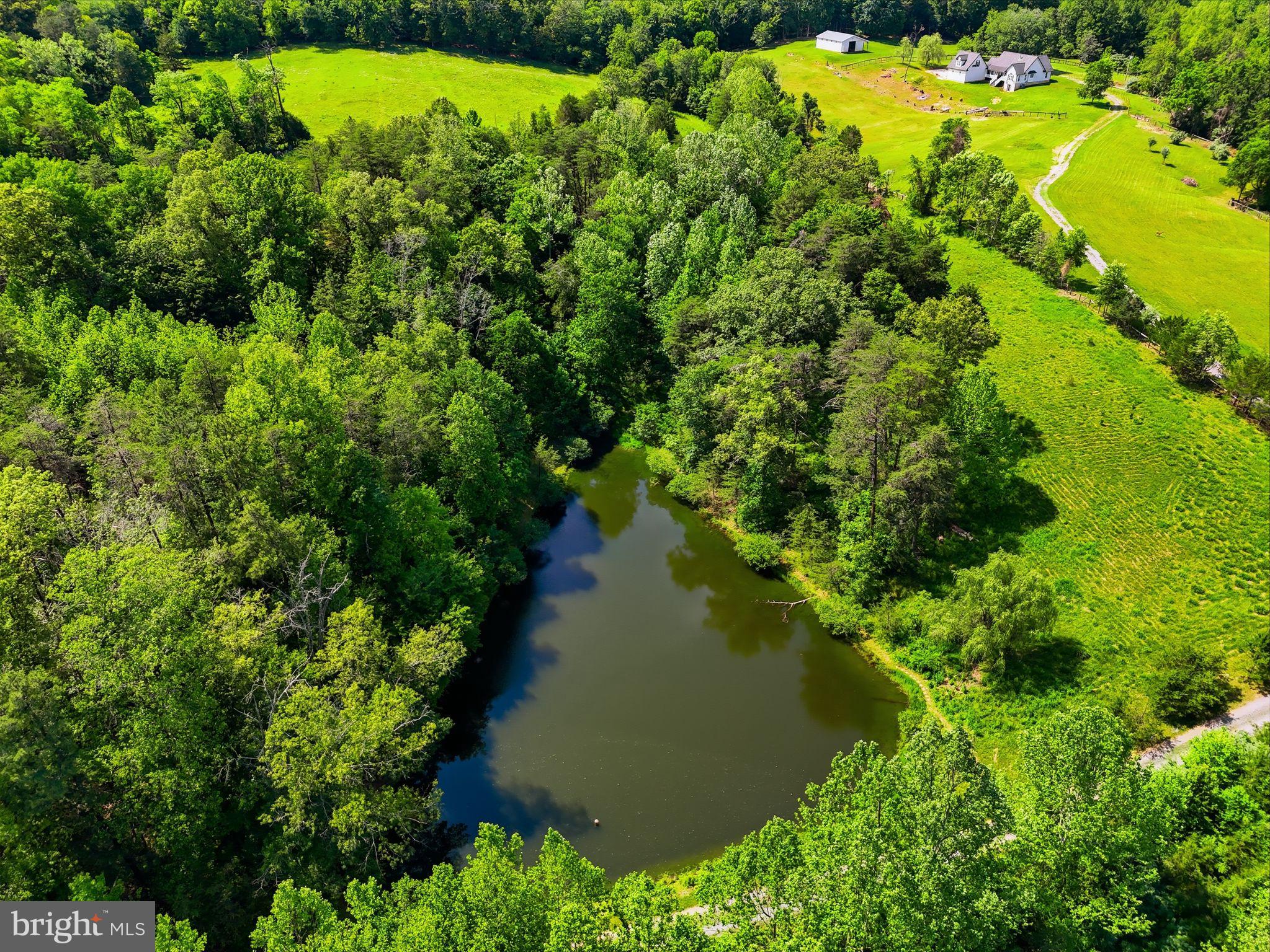 Castle Rock Lane Castleton, VA 22716 - Photo 3 of 15 1 acre pond on property