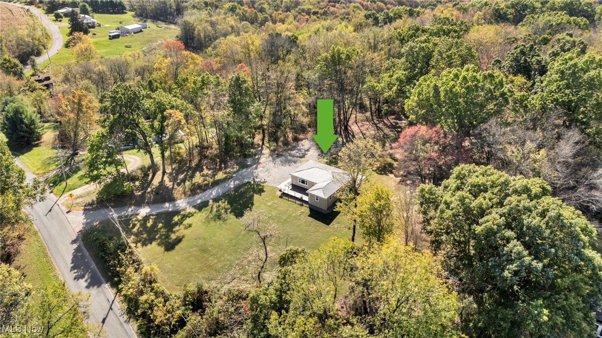 43575 Cream Ridge Road Lisbon, OH 44432 - Photo 36 of 50 Bird's eye view of a forest