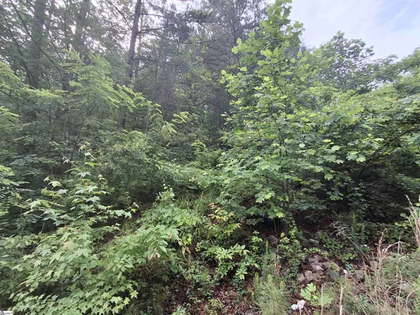 $35,000 | 113 High Top Drive, Pickens, SC 29671