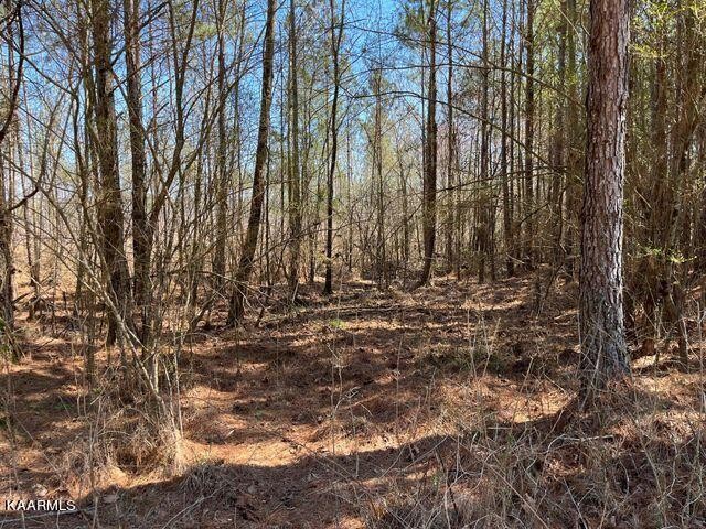 8 Hughes Lake Road Southeast Cleveland, TN 37323 - Photo 5 of 12