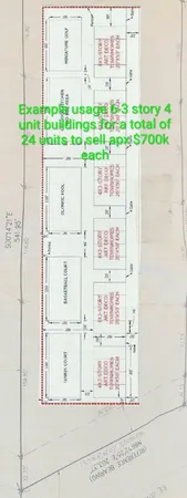 a white wall with a potted plant