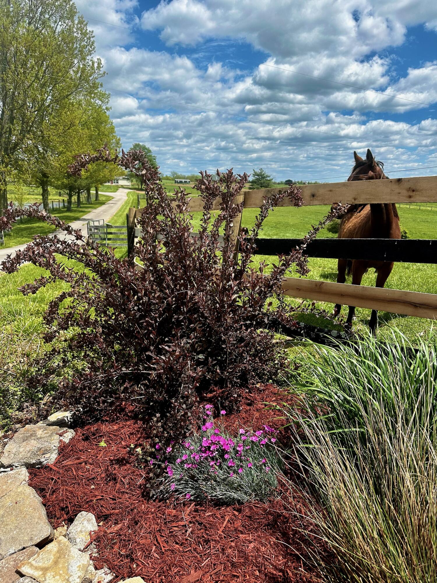 210 Glenn Road Paris, KY 40361 - Photo 38 of 41 IMG_1595
