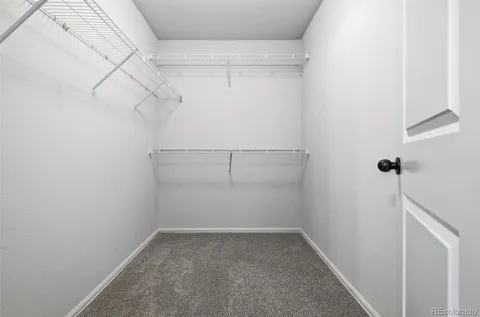 $489,000 | 1506 New Season Drive, Windsor, CO 80550