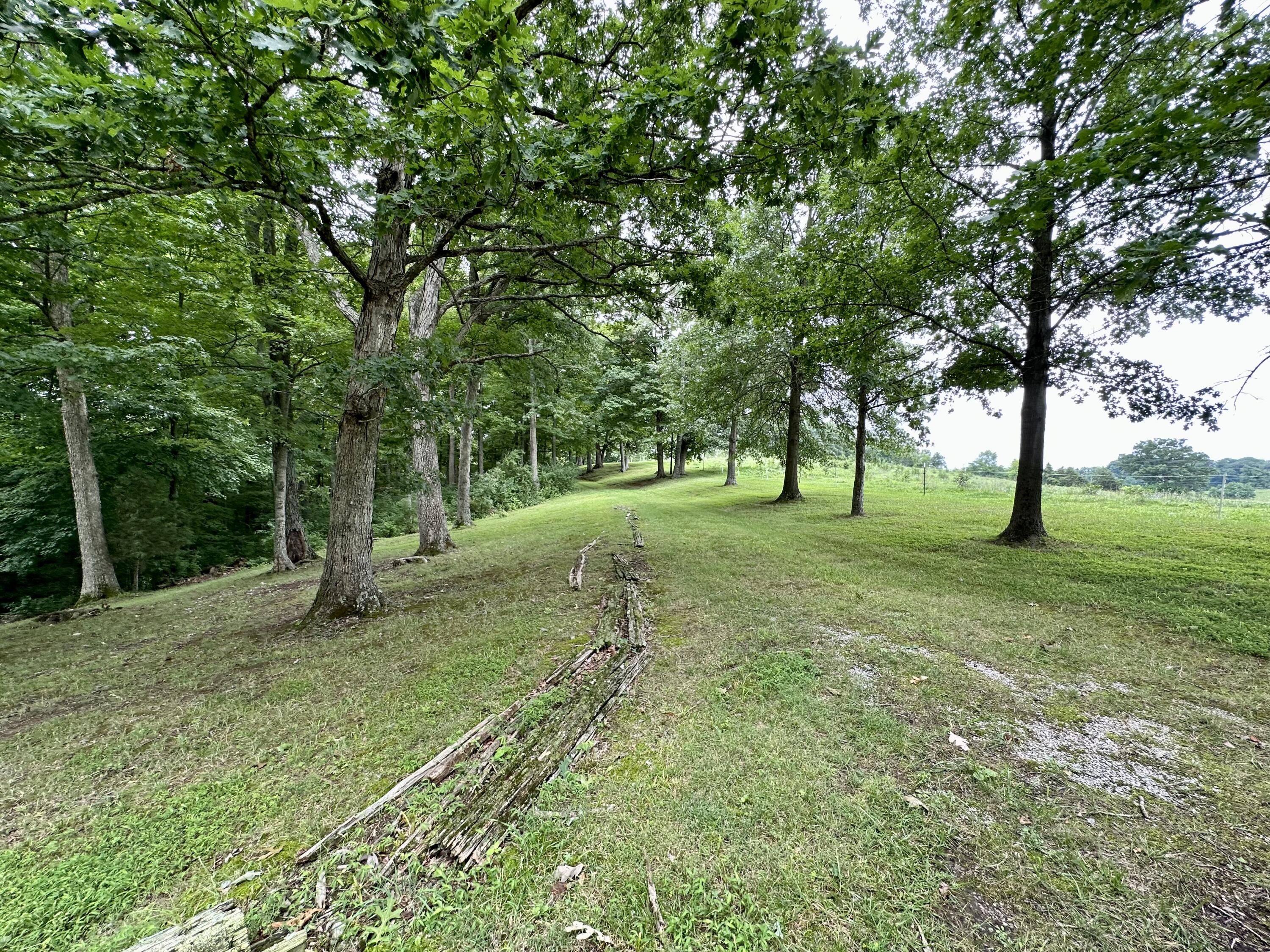 2546 Wagoner Road California, KY 41007 - Photo 19 of 25