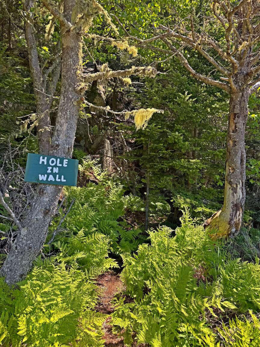 30 Little Machias Road Cutler, ME 04626 - Photo 49 of 50 Winn.49