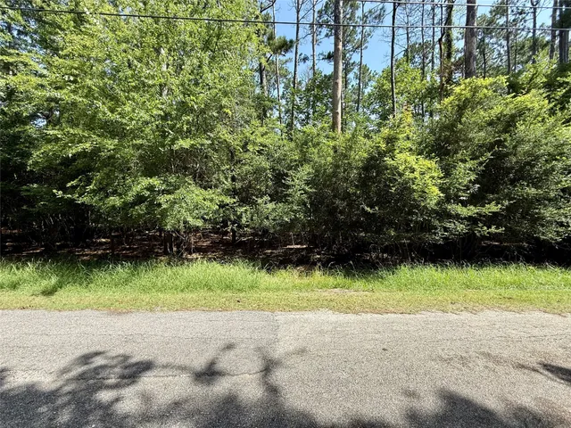 a view of backyard with green space