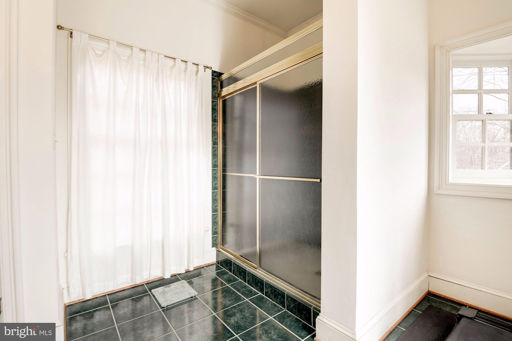 20252 Unison Road Round Hill, VA 20141 - Photo 27 of 44 Master Bath shower