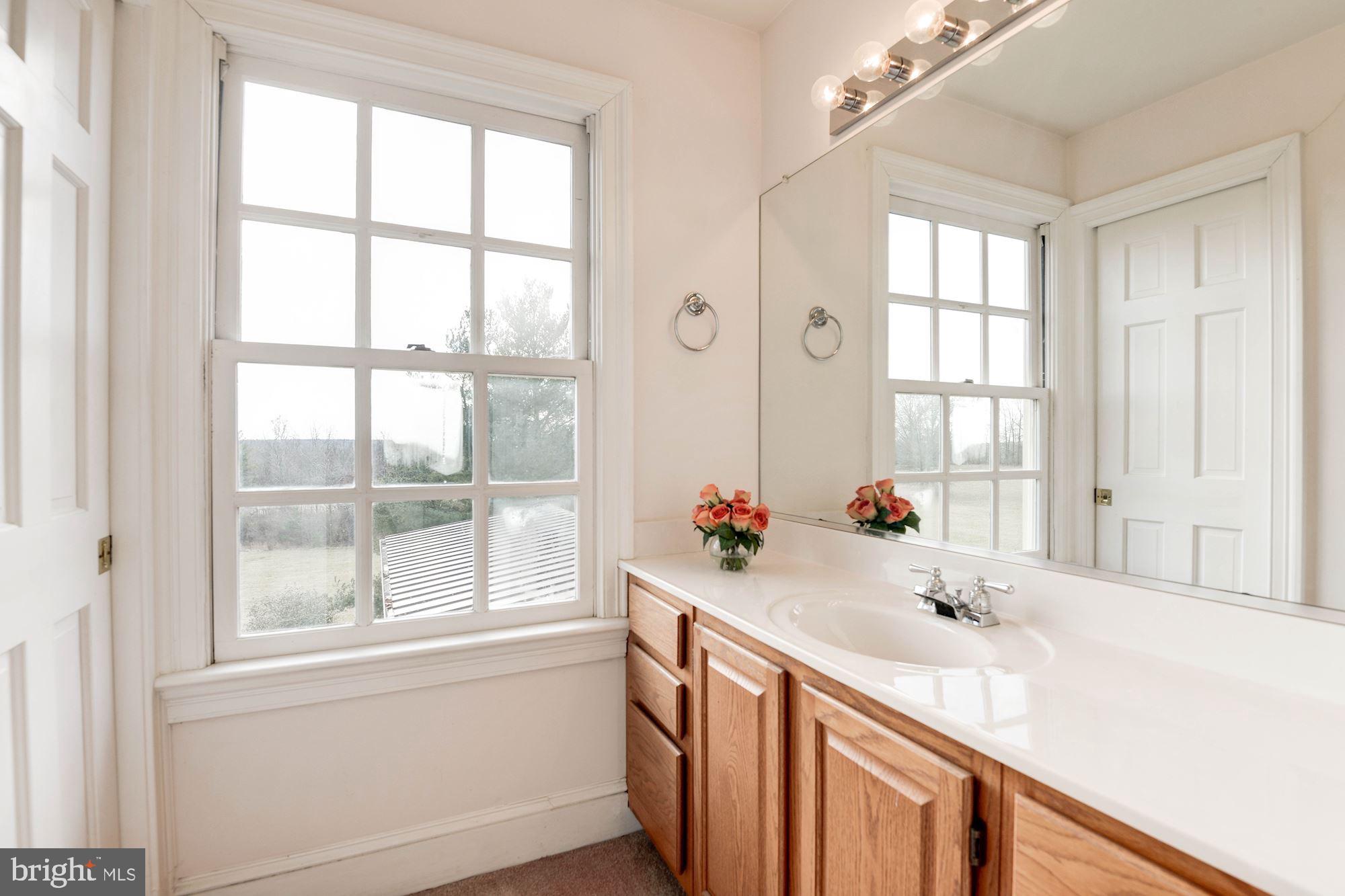 20252 Unison Road Round Hill, VA 20141 - Photo 34 of 44 Jack and Jill Bath