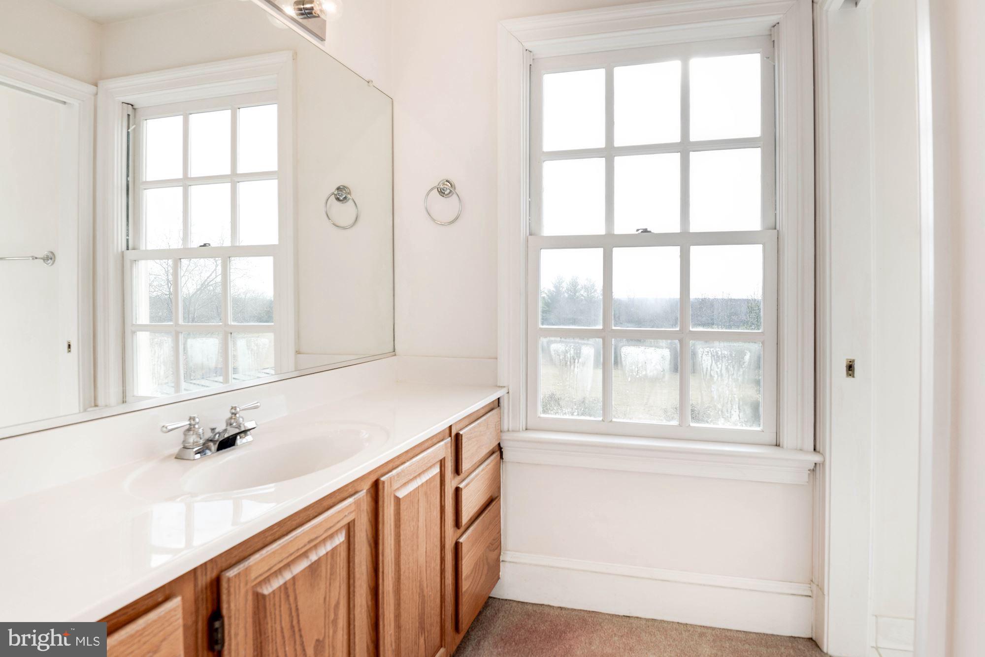 20252 Unison Road Round Hill, VA 20141 - Photo 35 of 44 Light filled Jack and Jill Bath