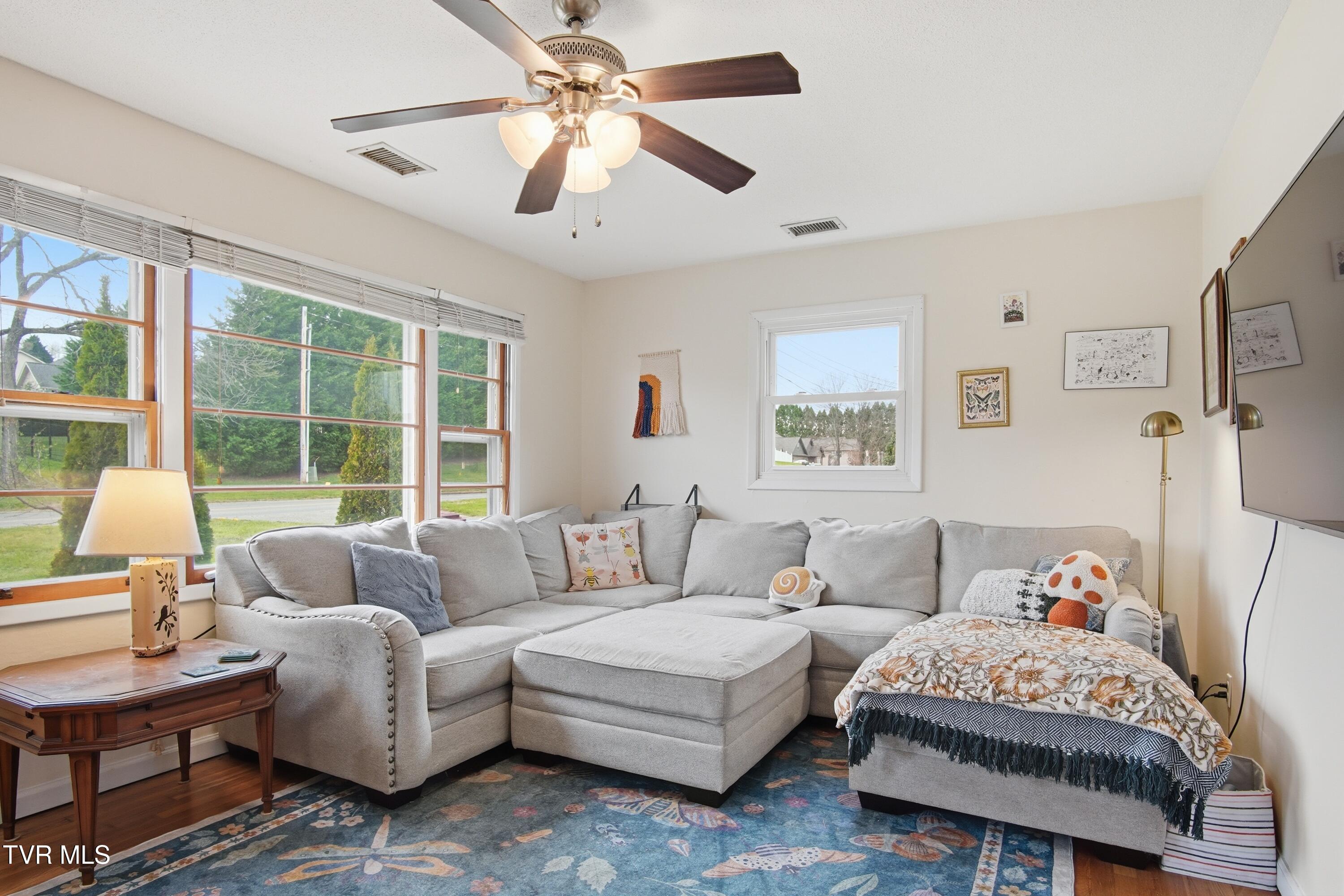 926 East Mountain View Road Johnson City, TN 37601 - Photo 6 of 33 DSC09913