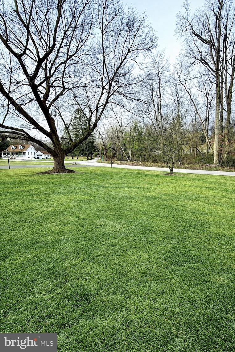 320 South Bonsall Road Coatesville, PA 19320 - Photo 35 of 36 a view of a trees in a yard