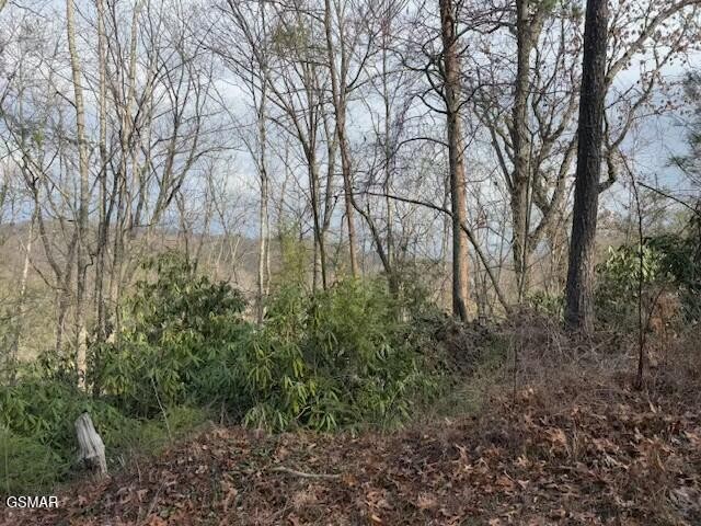 973 Ridgefield Drive Sevierville, TN 37876 - Photo 6 of 13 Gallery Image 6