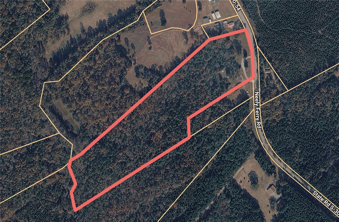9816 Neely Ferry Road Waterloo, SC 29384 - Photo 7 of 7