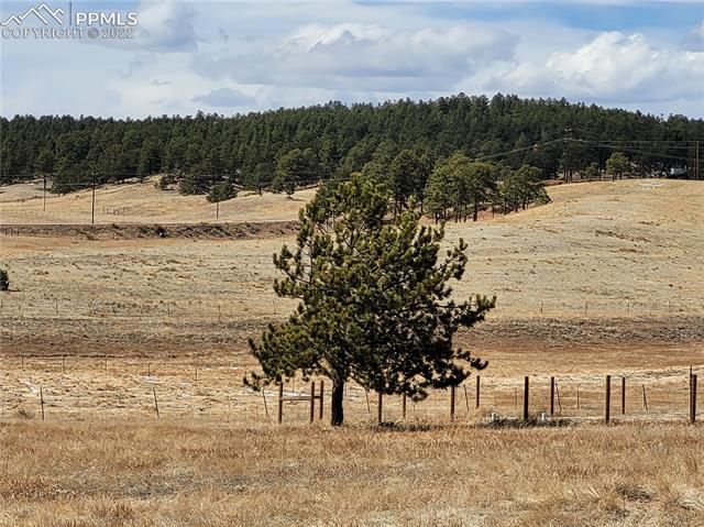 582 High Pasture Road Florissant, CO 80816 - Photo 7 of 16 Gallery Image 7