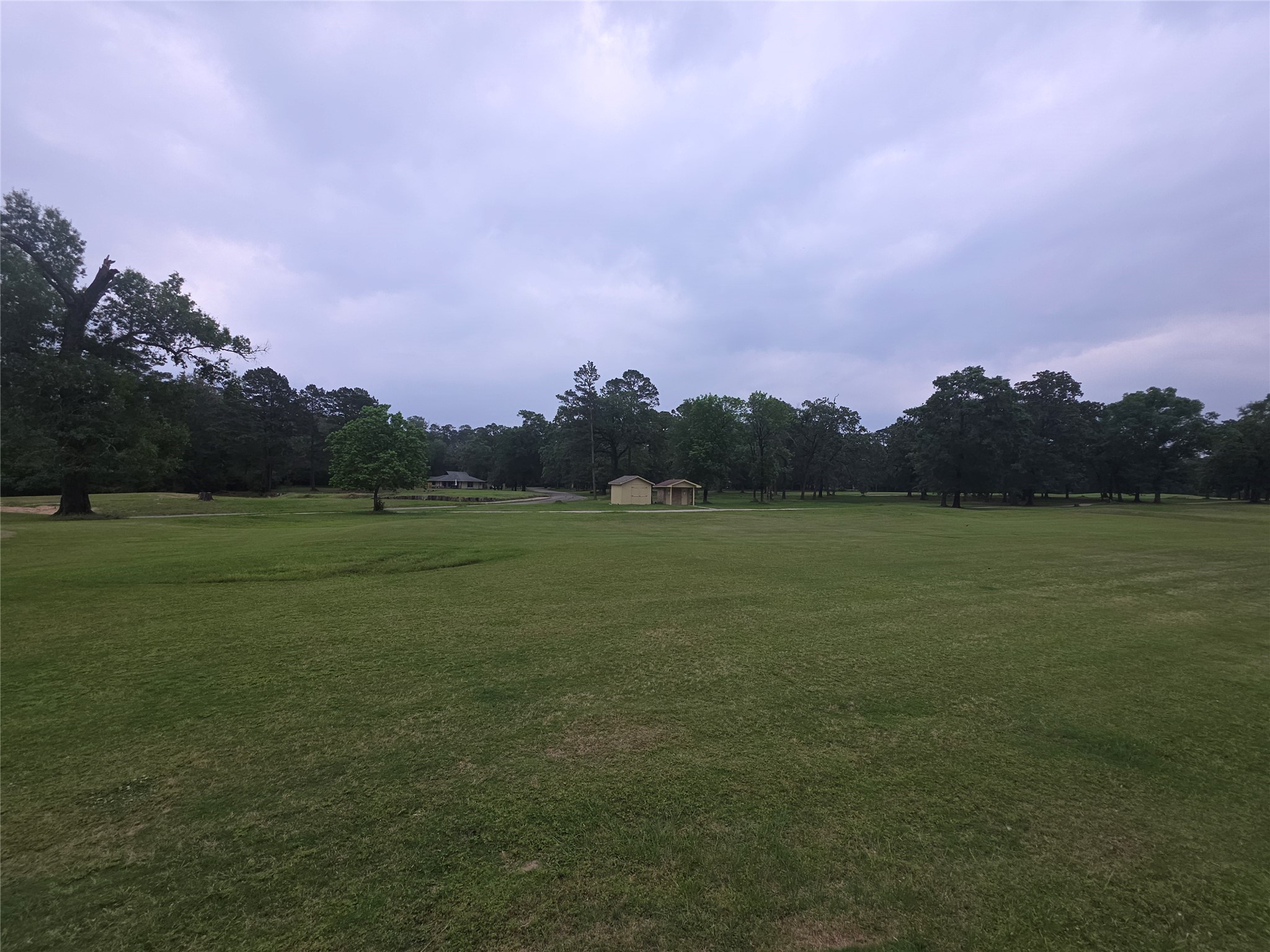 22468 Pebble Beach Way Point Blank, TX 77364 - Photo 6 of 22