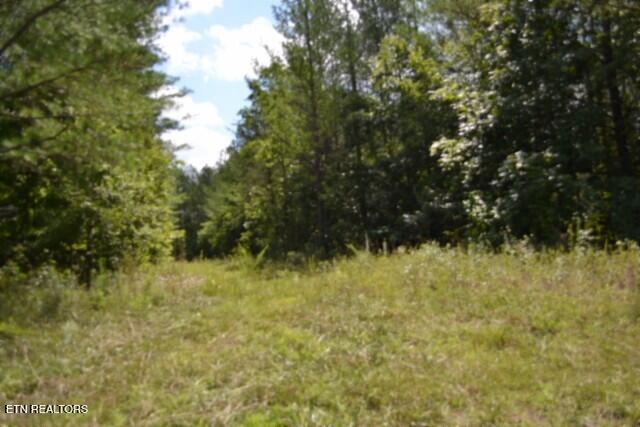 318 Rhodas Way Sunbright, TN 37872 - Photo 12 of 55 DSC_0034