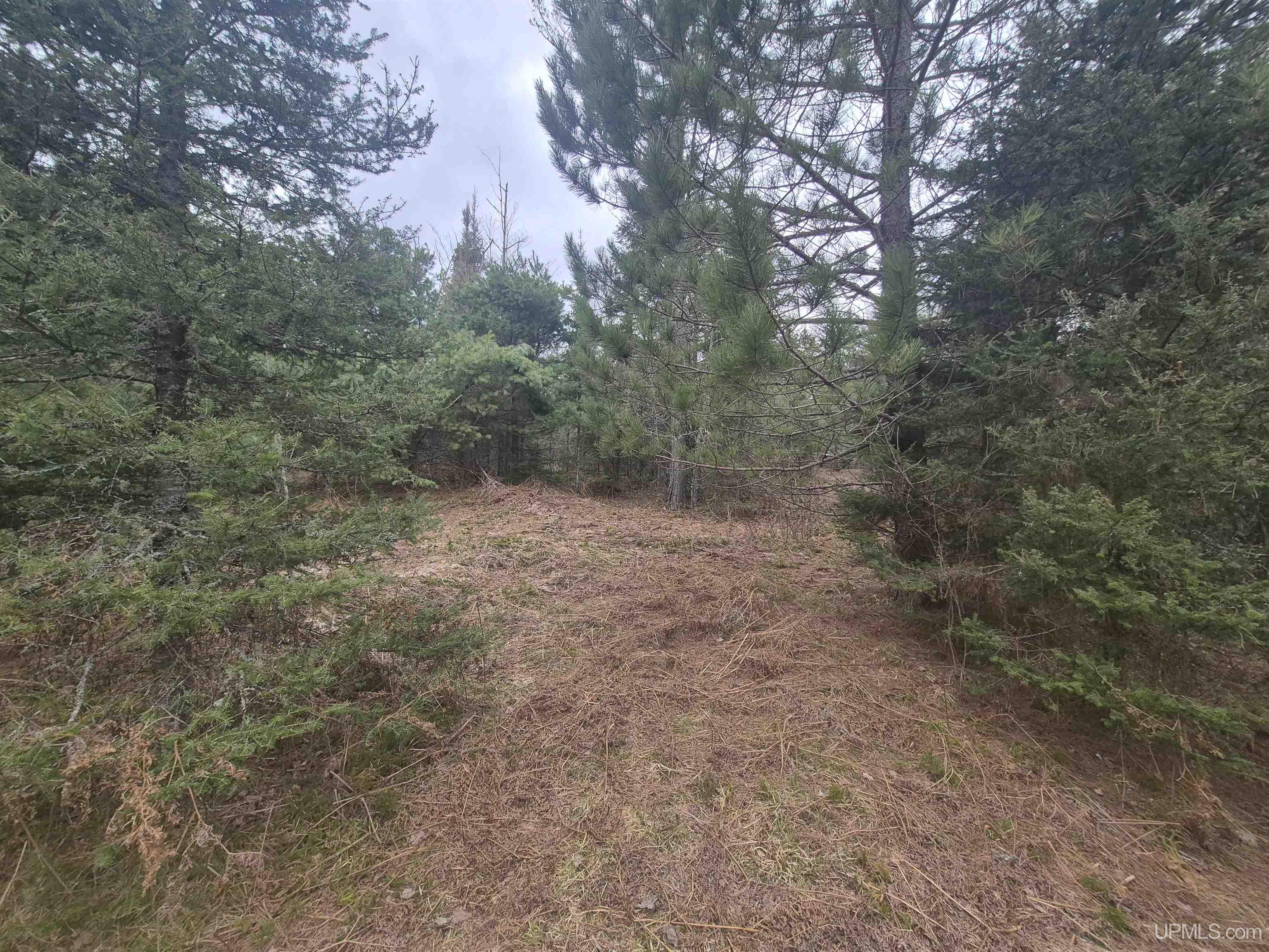 13551 County Road CS Road Ishpeming, MI 49849 - Photo 28 of 40