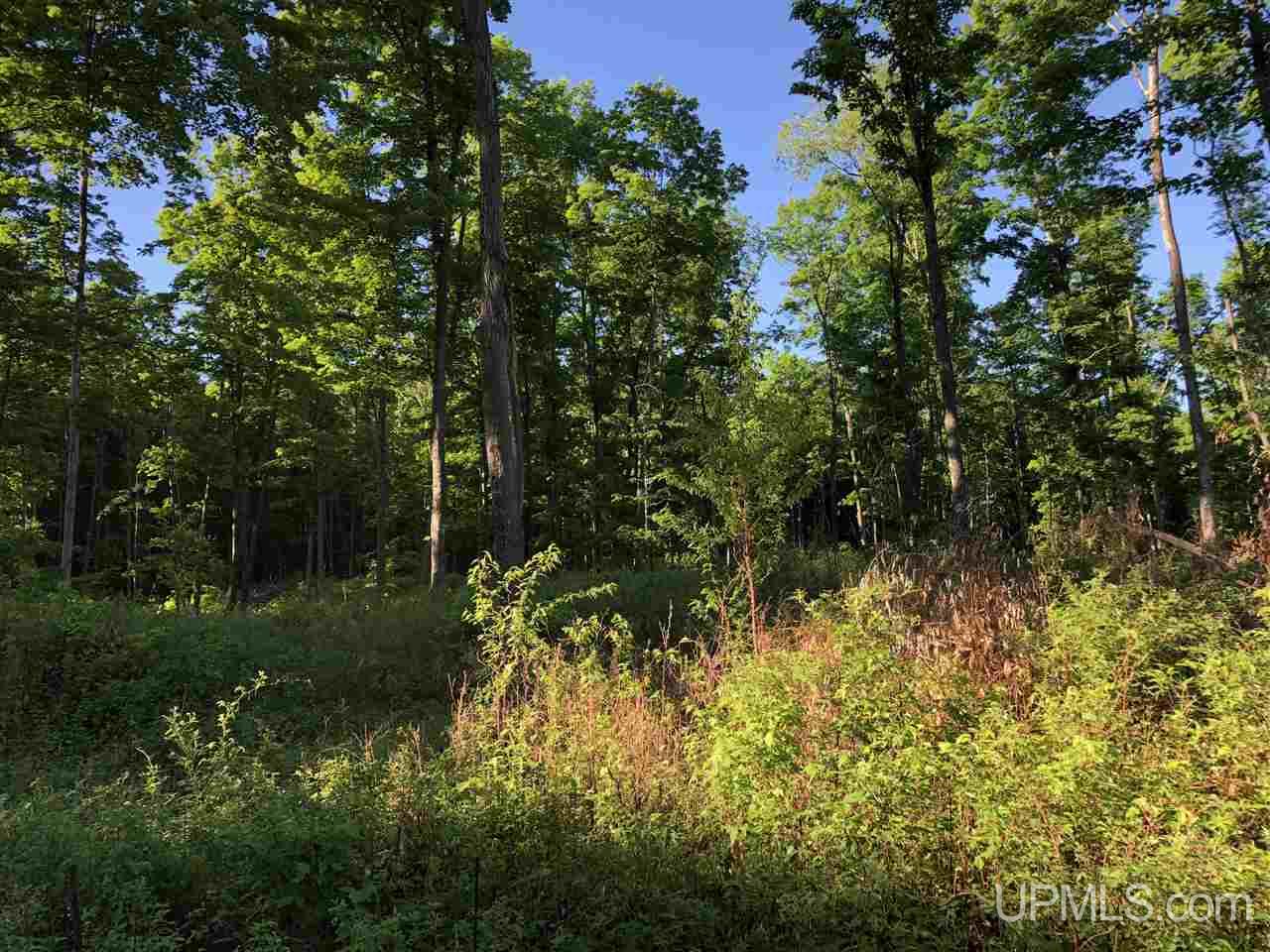 2353 Co Rd 442 Rapid River, MI 49878 - Photo 13 of 20