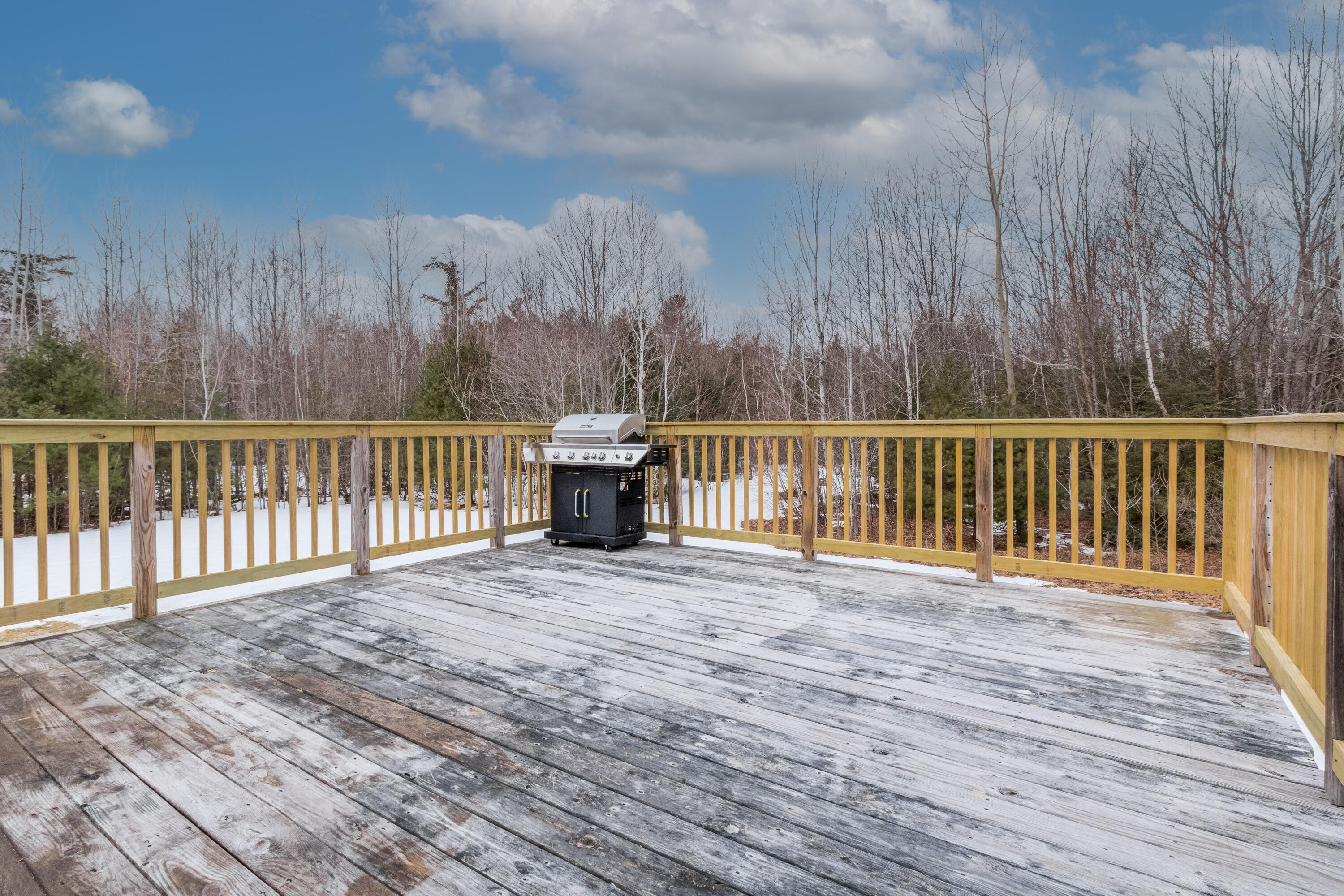 255 Dingley Spring Road Gorham, ME 04038 - Photo 58 of 68 20220309HL-71062