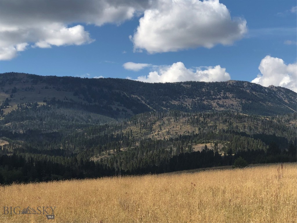 80-acres Patterson Road Bozeman, MT 59715 - Photo 1 of 1 Gallery Image 1