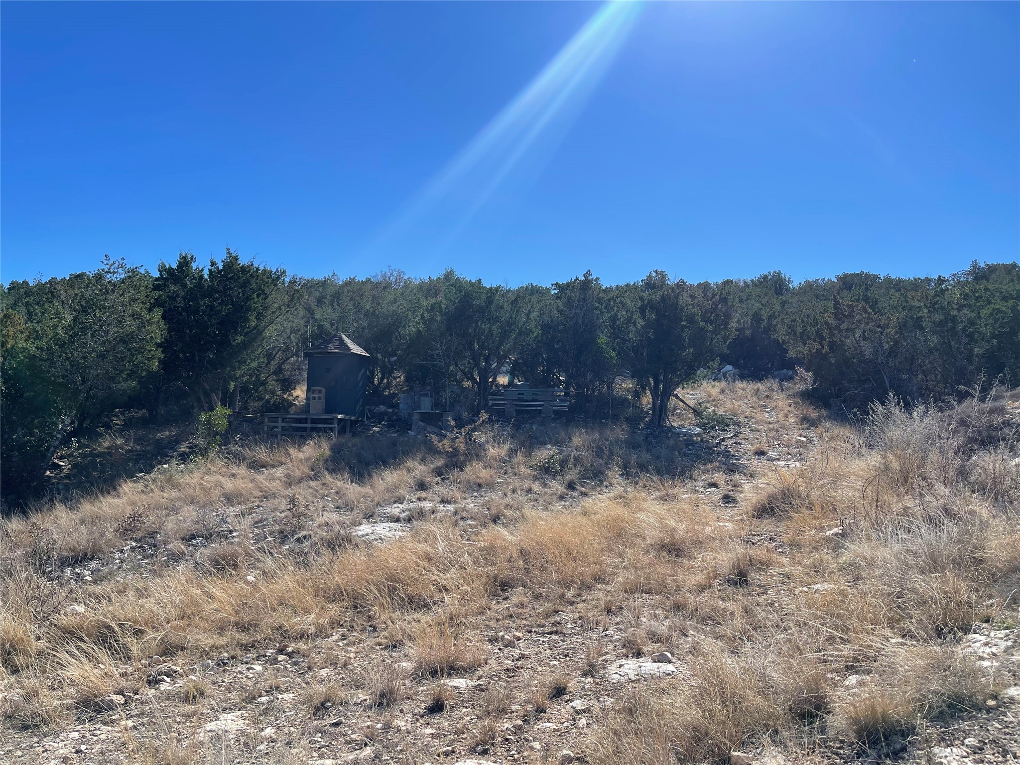 305 Walnut Springs Ranch Road Uvalde, TX 78801 - Photo 6 of 21 a view of a dry yard with trees in the background