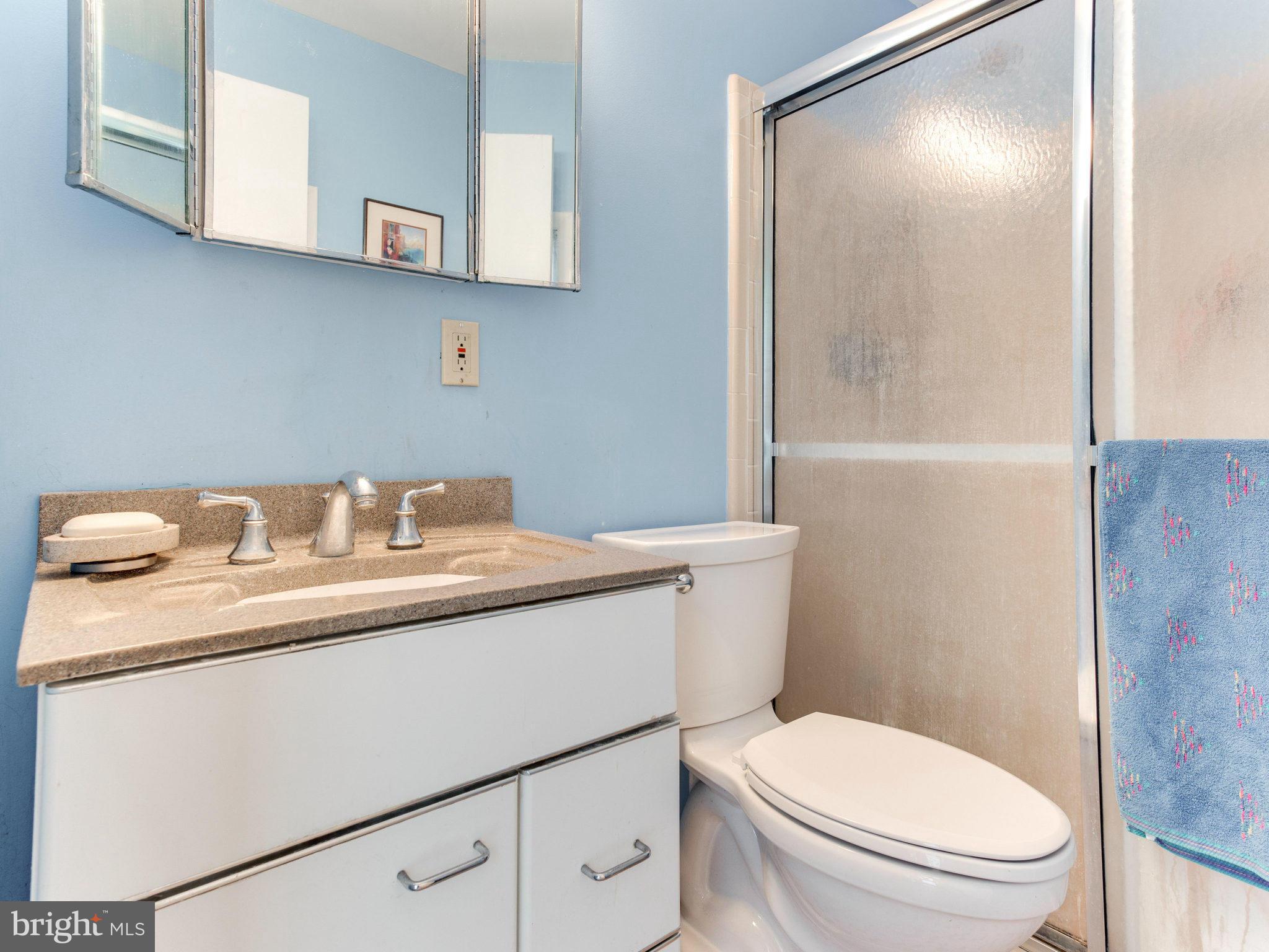 1068 Rector Lane McLean, VA 22102 - Photo 26 of 30 Bath (Master)