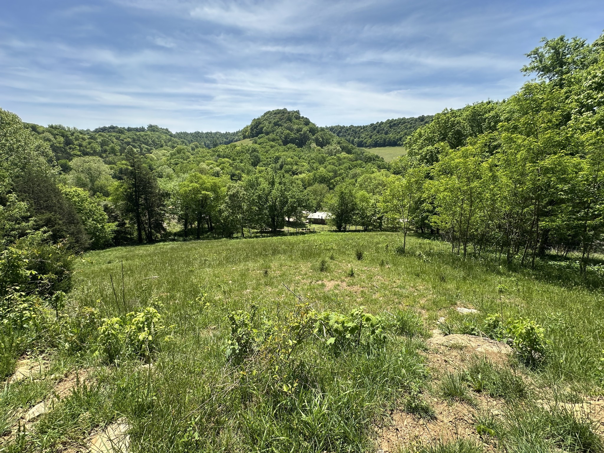 202 Maggart Road Elmwood, TN 38560 - Photo 50 of 59 Gallery Image 50
