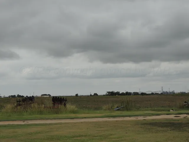 $240,900 | 4125 Farm To Market Road 1259, Hereford, TX 79045