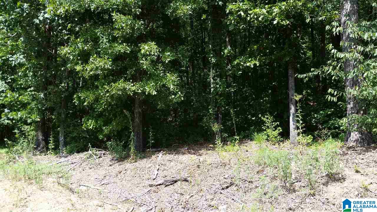1885 Brooks Lake Road Lincoln, AL 35096 - Photo 26 of 30