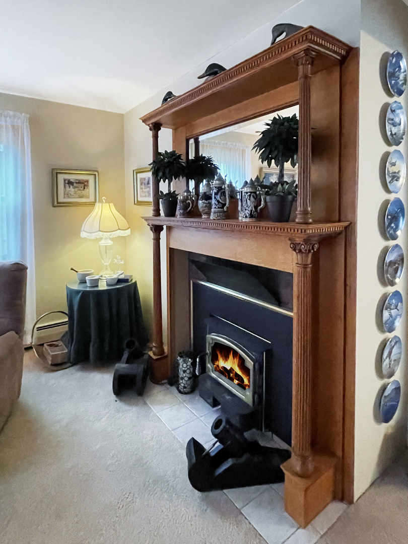 830 Chartres Street LaSalle, IL 61301 - Photo 6 of 30 a living room with furniture and a fireplace