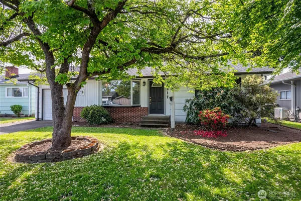 a view of a house with backyard and a tree